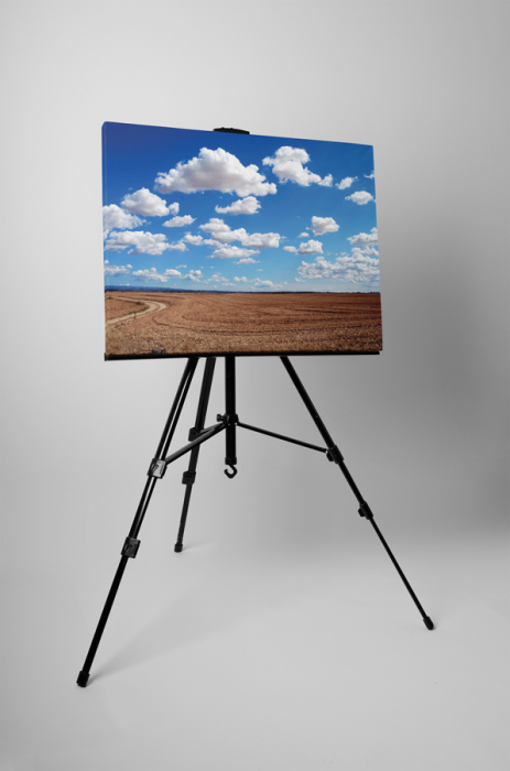 Tablou canvas : Dupa recoltare [3]