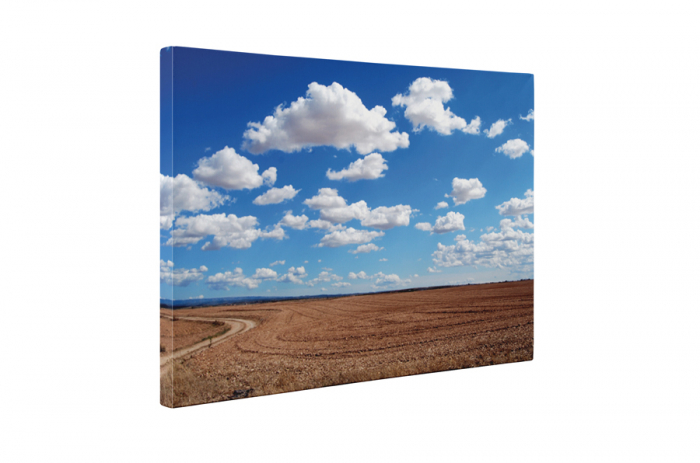 Tablou canvas : Dupa recoltare [5]