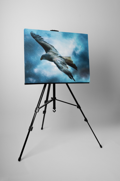 Tablou canvas : Soimul [3]