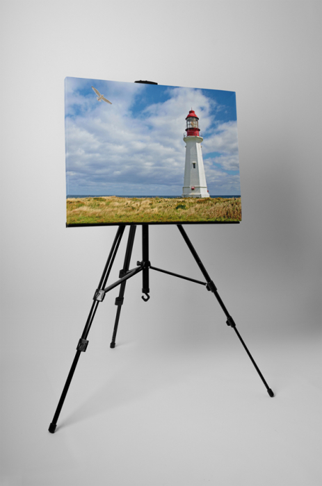 Tablou canvas : Farul si pescarusul [3]