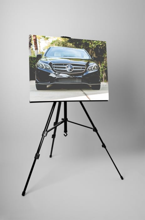 Tablou canvas : Mercedes elegant [4]