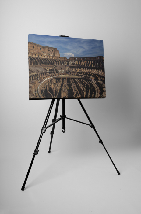Tablou canvas : Colosseum inauntru [3]