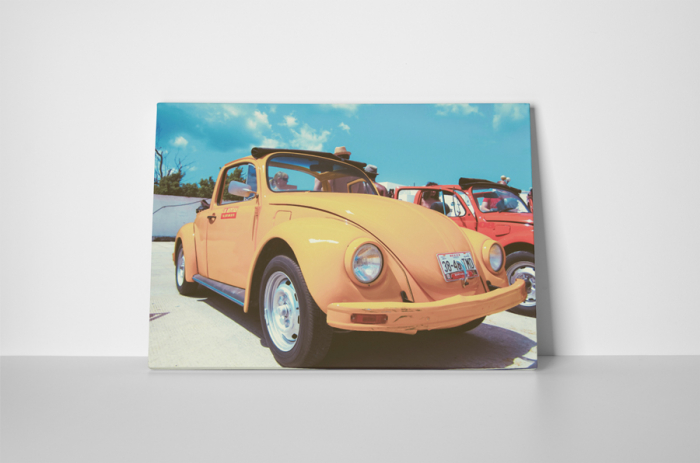 Tablou canvas : Beetle [2]