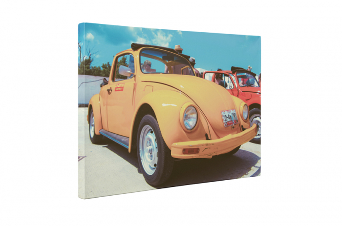Tablou canvas : Beetle [5]