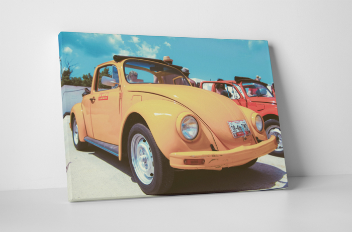 Tablou canvas : Beetle [1]