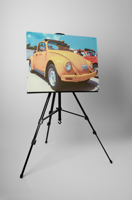 Tablou canvas : Beetle [3]