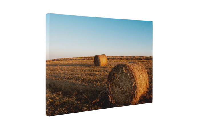 Tablou canvas : Un stog de fan [5]