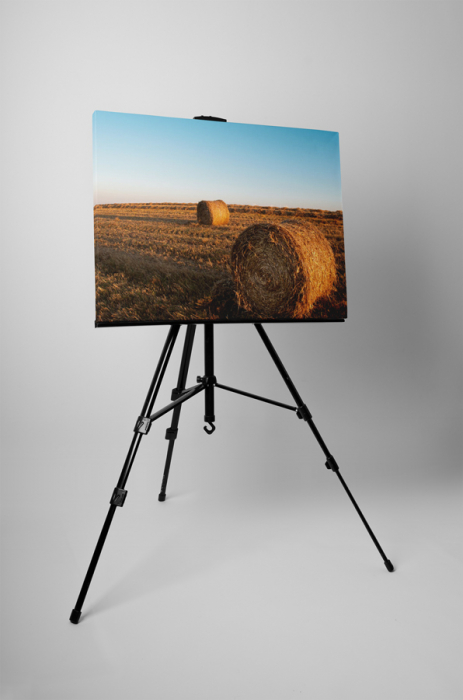 Tablou canvas : Un stog de fan [3]