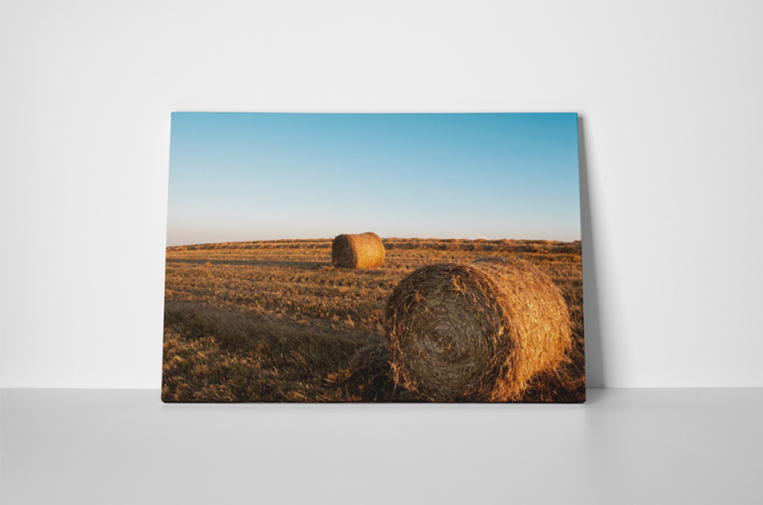 Tablou canvas : Un stog de fan [2]