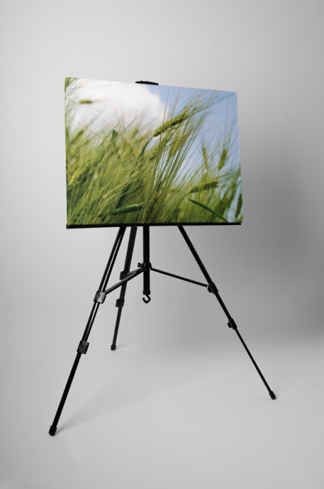 Tablou canvas : Graul verde [3]