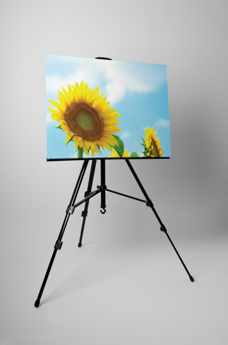 Tablou canvas : O floare, o raza de soare [2]
