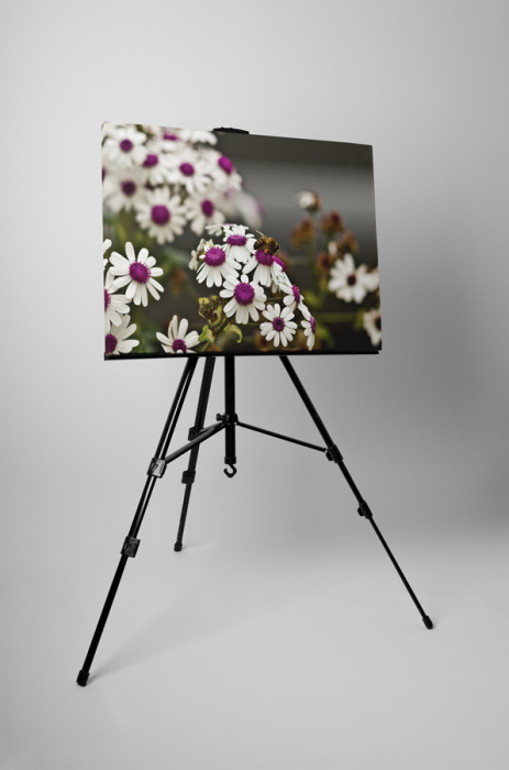 Tablou canvas : Musetel [3]