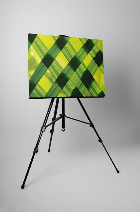 Tablou canvas : Frunze verzi [3]