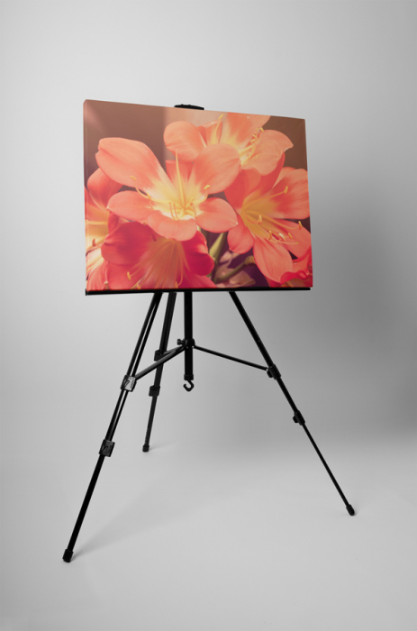 Tablou canvas : Floricele [3]