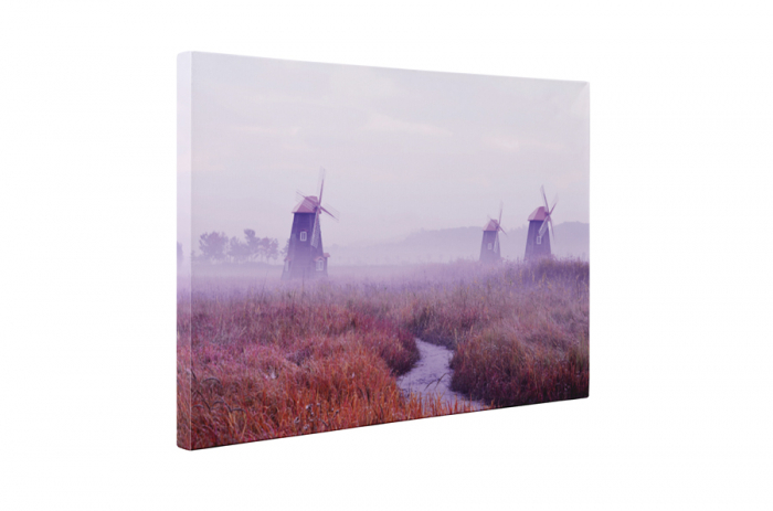 Tablou canvas : Morile de vant [5]