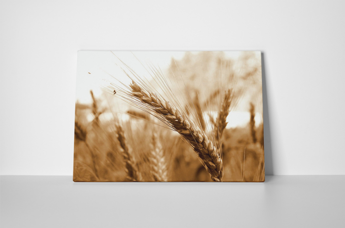 Tablou canvas : Grau [2]
