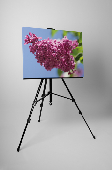 Tablou canvas : Liliacul mov [3]