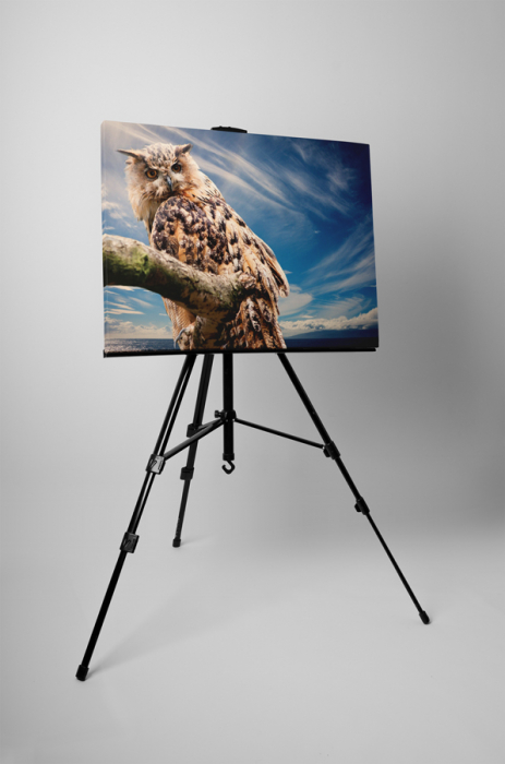 Tablou canvas : Bufnita [3]