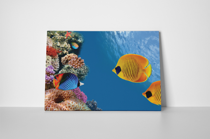 Tablou canvas : Lumea marina [2]