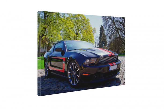 Tablou canvas : Mustang [5]