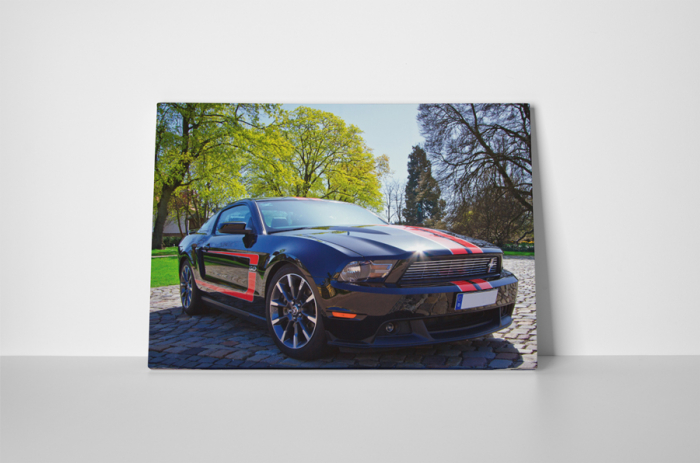 Tablou canvas : Mustang [2]