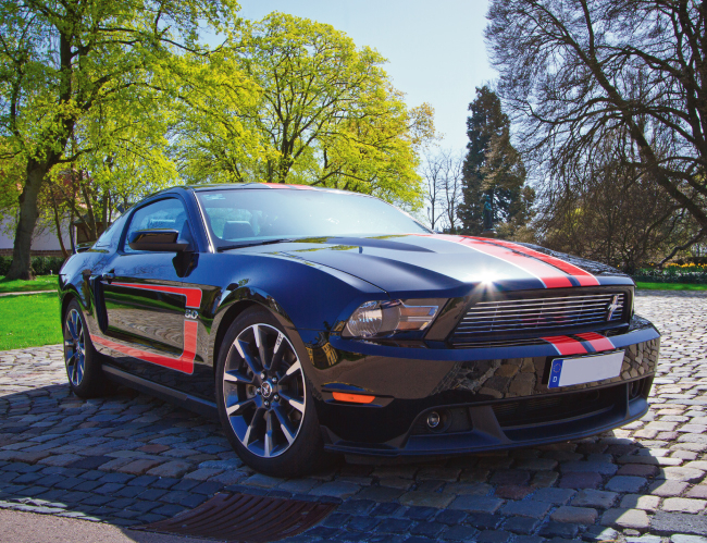 Tablou canvas : Mustang [4]