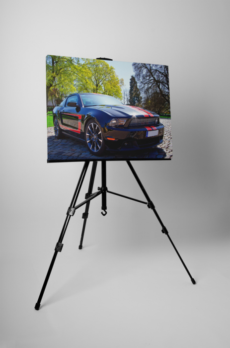 Tablou canvas : Mustang [3]
