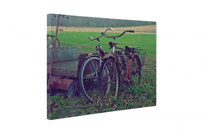 Tablou canvas : Biciclete vechi [5]