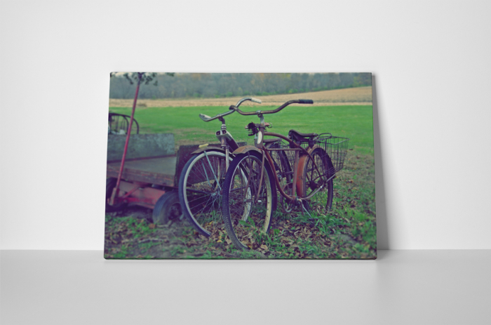 Tablou canvas : Biciclete vechi [2]