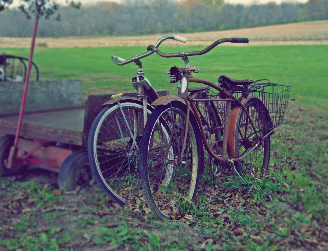 Tablou canvas : Biciclete vechi [4]