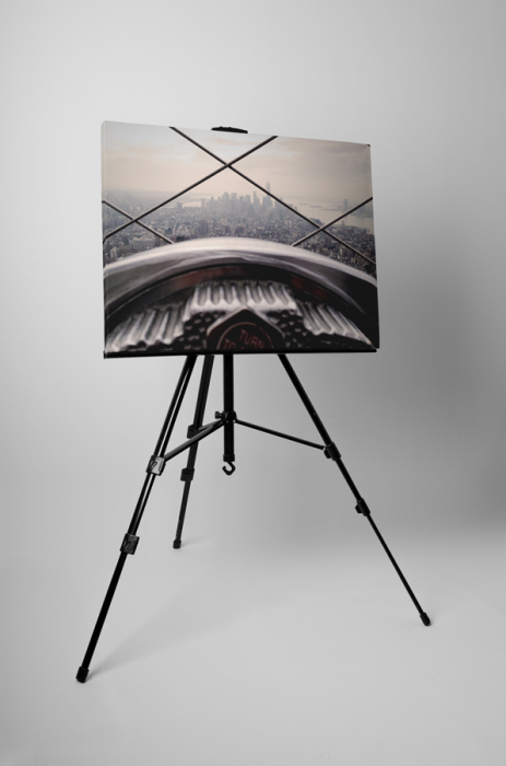 Tablou canvas : De la inaltime [3]