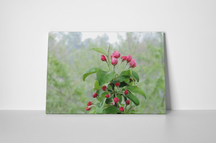 Tablou canvas : Mar verde [2]