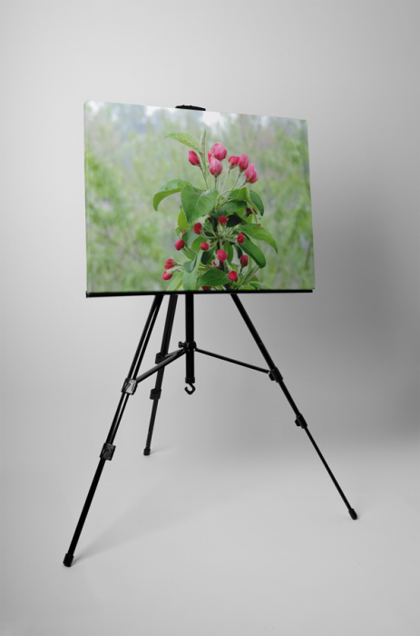 Tablou canvas : Mar verde [3]