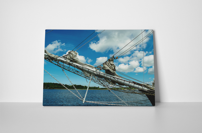 Tablou canvas : Libertate pe apa [2]