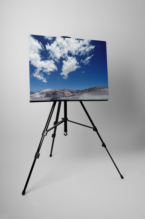 Tablou canvas : Nori [3]