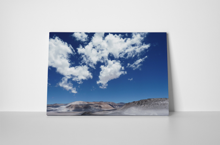 Tablou canvas : Nori [2]