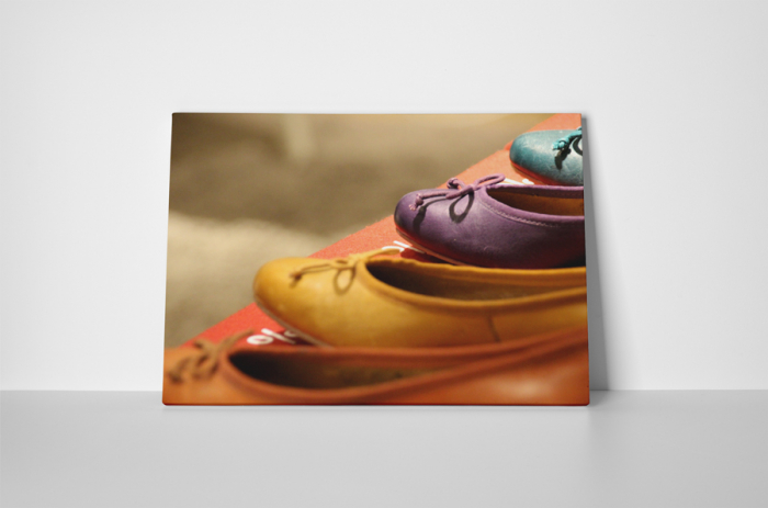 Tablou canvas : Balerini [2]