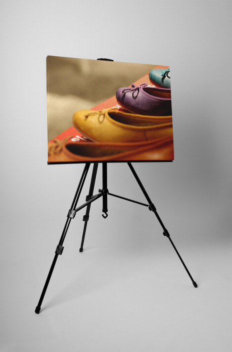 Tablou canvas : Balerini [3]