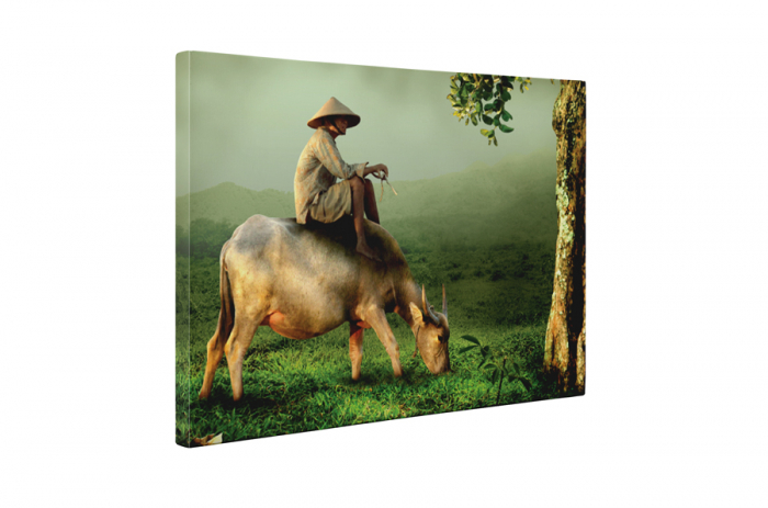 Tablou canvas : Pe pasune [5]