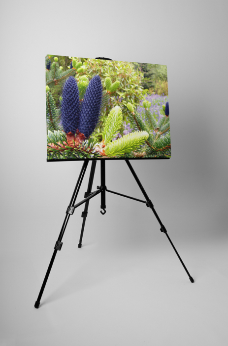 Tablou canvas : Vesnic verde [3]