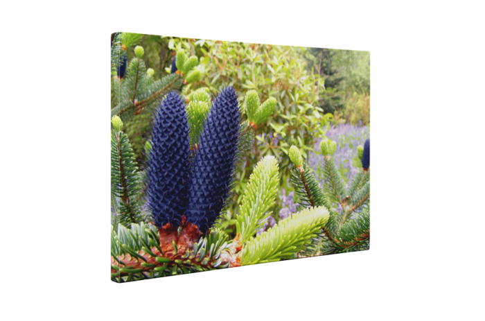 Tablou canvas : Vesnic verde [5]