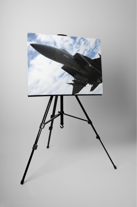 Tablou canvas : Avion de vanatoare [3]