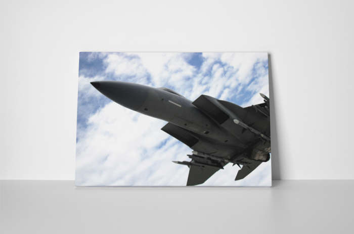 Tablou canvas : Avion de vanatoare [2]