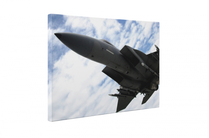 Tablou canvas : Avion de vanatoare [5]