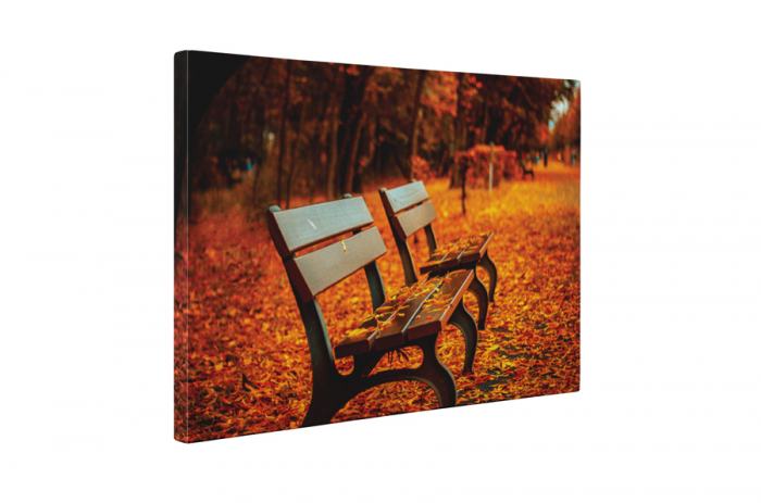 Tablou canvas : Frunze colorate [5]