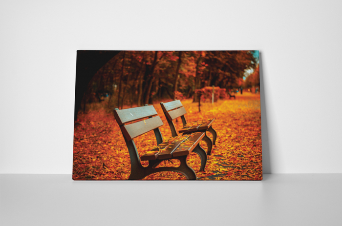 Tablou canvas : Frunze colorate [2]