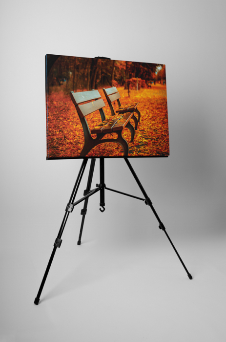 Tablou canvas : Frunze colorate [3]