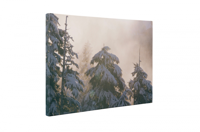 Tablou canvas : Zapada peste brazi [5]