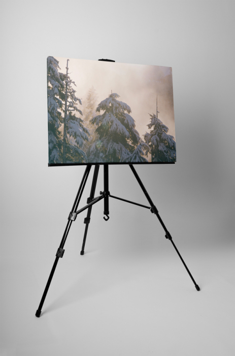 Tablou canvas : Zapada peste brazi [3]