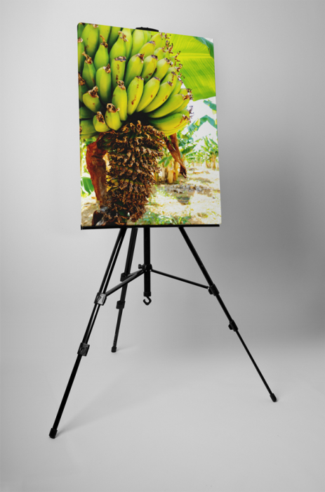 Tablou canvas : Banane [3]